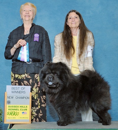 Domino chows sales